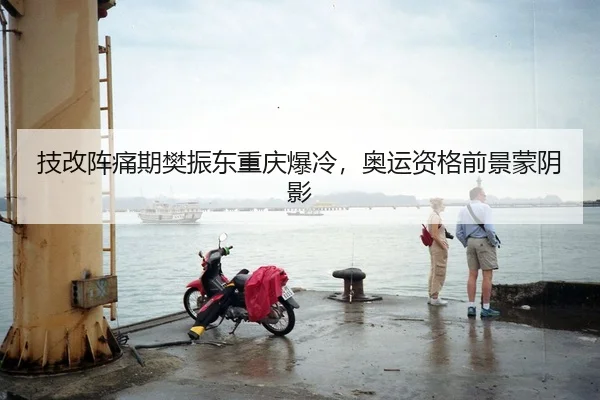 技改阵痛期樊振东重庆爆冷，奥运资格前景蒙阴影